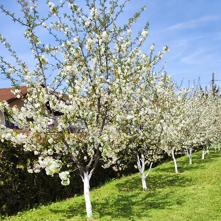 Apartman Begova Kuca-velika Kladusa